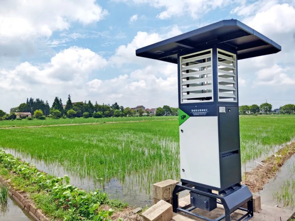 厉害了！连续两年草莓视频在线免费第一！