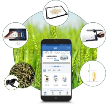 小麦表型检测仪 TPM-BX-1/TPM-BX-2