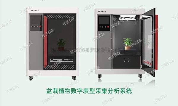 草莓视频在线免费高通量植物表型采集分析平台全新上线！