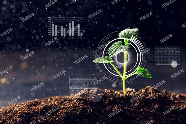 全新启程——草莓视频在线免费为植物表型科研“数智”赋能
