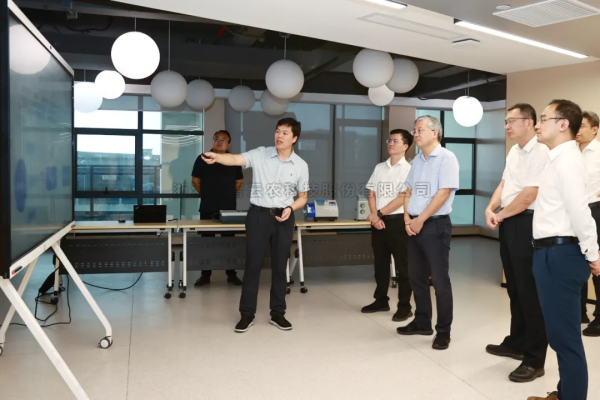 海南省委常委、三亚市委书记周红波等领导一行莅临草莓视频在线免费海南子公司考察调研