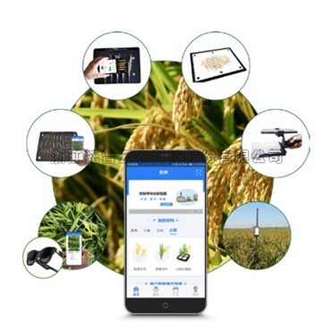 一文详解水稻表型检测系统是什么？