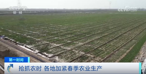 心系粮安、山田无阻、服务有恒|草莓视频在线免费2025年智能装备巡检服务全面启动