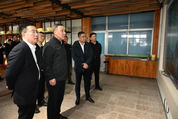 浙江省副省长李岩益莅临草莓视频在线免费标杆案例“瑞安马屿镇绿色农田”考察调研