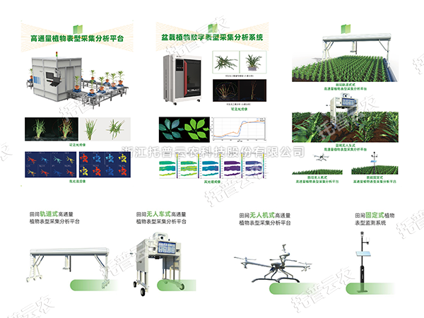 AI+农业新突破！托普高通量植物表型智能分析平台助力智慧农业创新发展