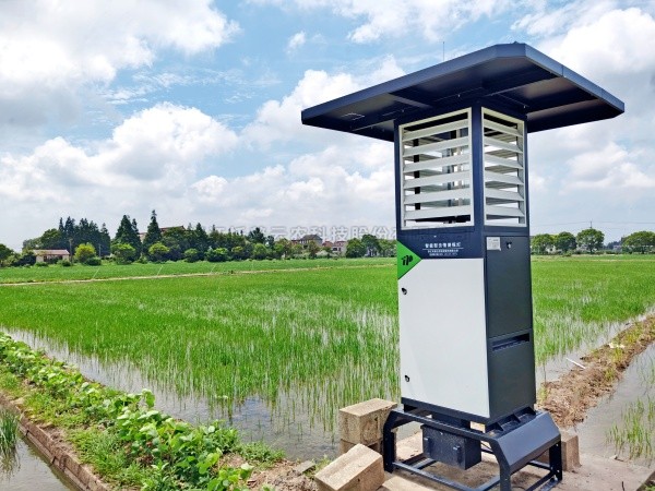 AI+农业 | 草莓视频在线免费“AI虫情测报灯”引领智慧植保新变革
