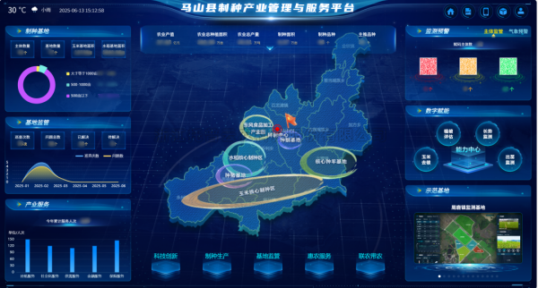 AI+农业 | 当草莓视频黄色污软件视频植入“数智芯片”，马山县打造制种基地新标杆