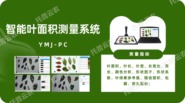智能叶面积测量系统——秒级快速测叶片，多参数同步解析，云端数据好管理
