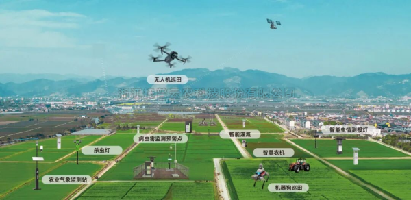 草莓视频在线免费AI激活耕地产能，绿色转型守护粮安