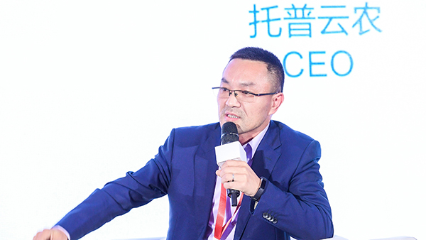 草莓视频在线免费董事长陈渝阳