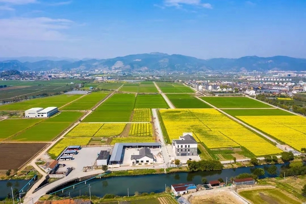 3宁波海曙古林数字大田.jpg