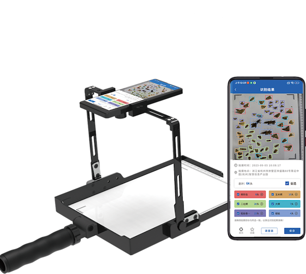 1723798754489426.png 12.png