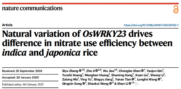 1741673253436471.jpg 2.jpg