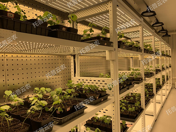 1741674452660613.png 2.png