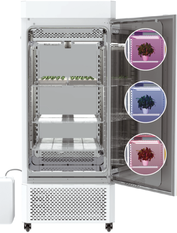 1742202538635279.png 5.png