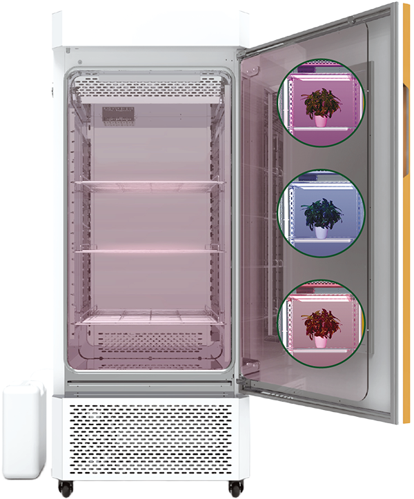 1742203177436459.png 6.png