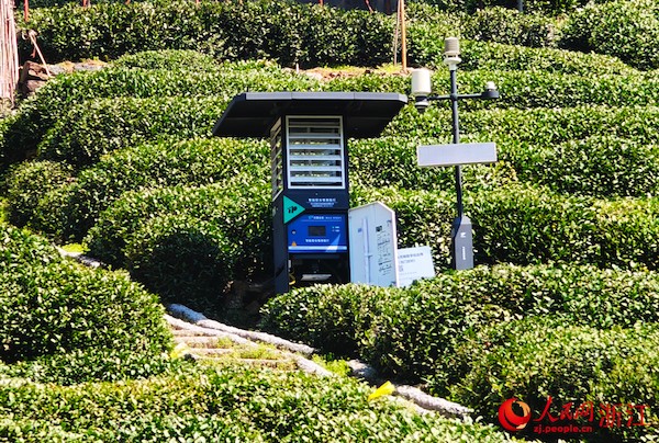 1743408486625429.jpg 3.jpg