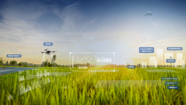 1745054159468604.png 图片2.png