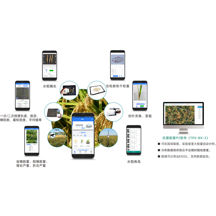 水稻表型检测系统TPS-BX-2.png
