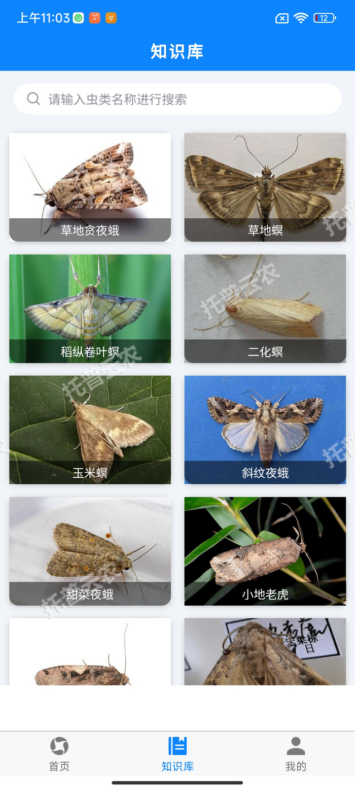 5、害虫知识库.png